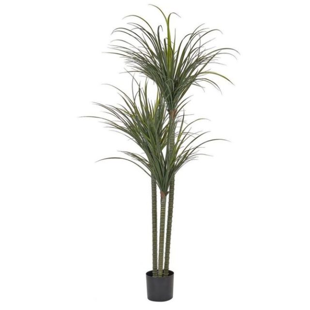 Konstgjord växt Dracaena Anita
