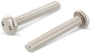 Schäfer & Peters 91012525 Säkerhetsskruv M5, med cylinderhuvud, A2, 100-pack M5 x 25 mm