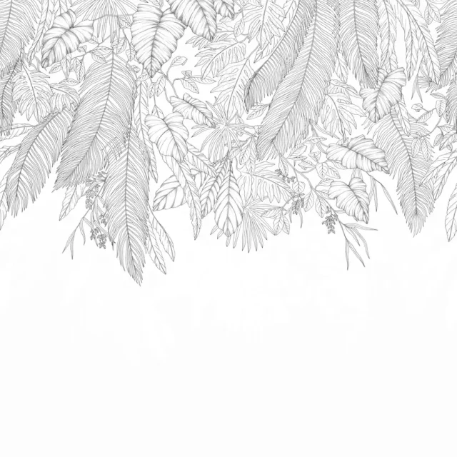 Caselio - Caselio - Descendant Jungle Noir Et Blanc 300X310