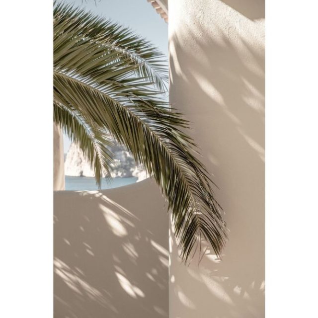 Poster Palmleaf 21x30 cm