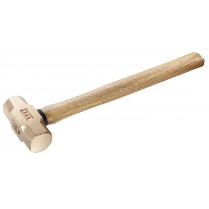 Facom 1261H.640SR Slägga gnistfri 7300 g