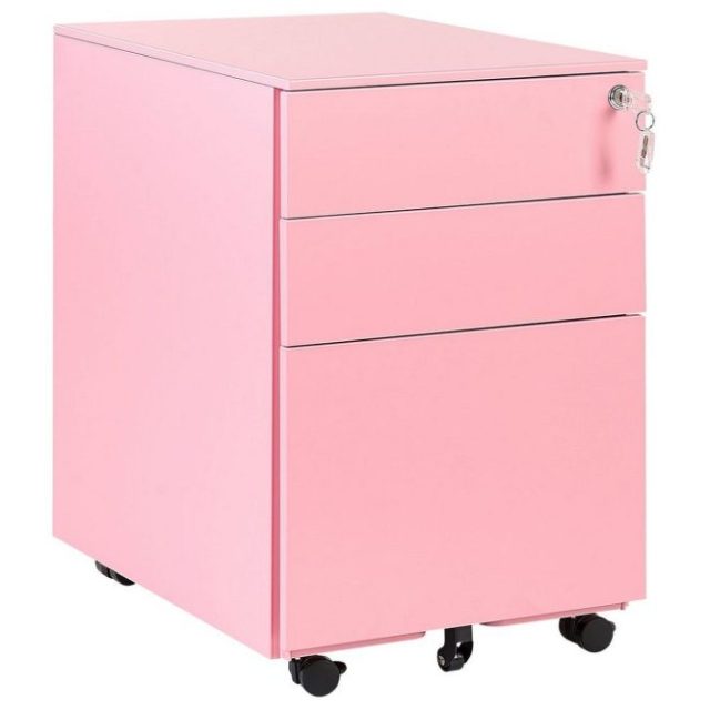 Kontorsskåp Cami Rosa