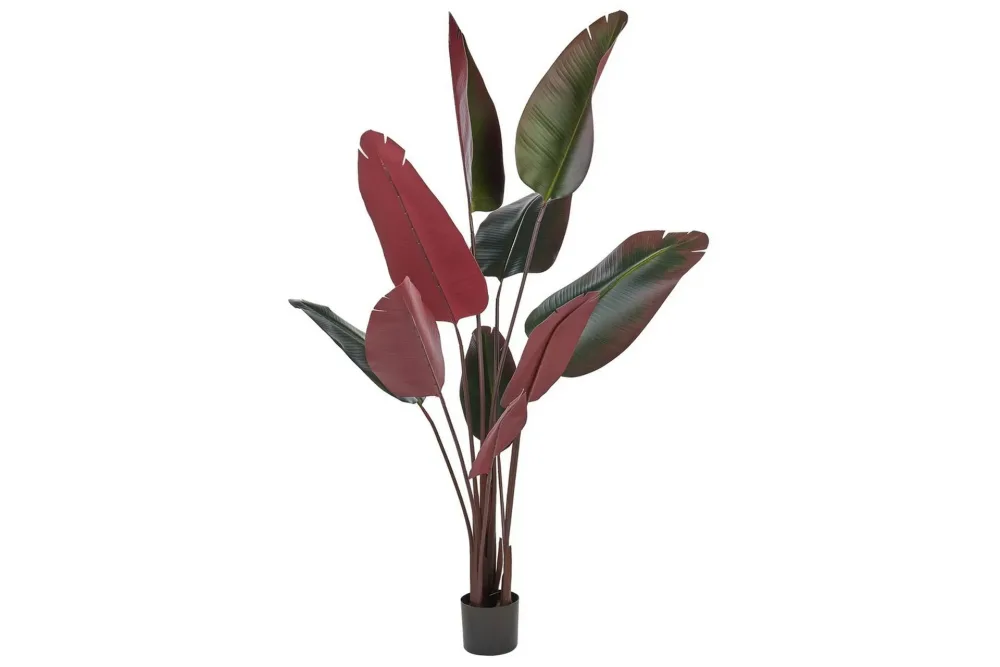 Konstgjord växt Banana Tree Grön/svart/röd, 95x95x170 cm