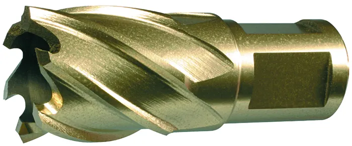 KÄRNBORR 22X50MM HSS