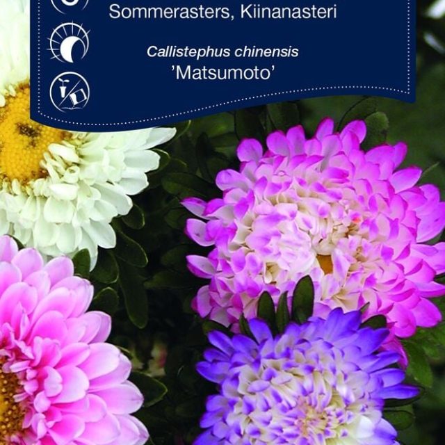 Frøpose Weibulls Pastellfargede blomster