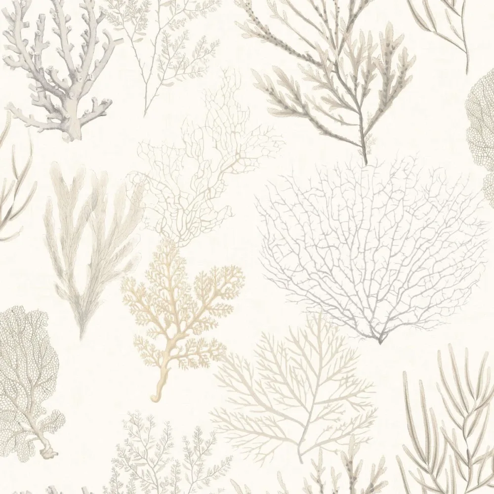 So White 4 Corail Beige Swht83971120 Tapet | Stuvbutiken