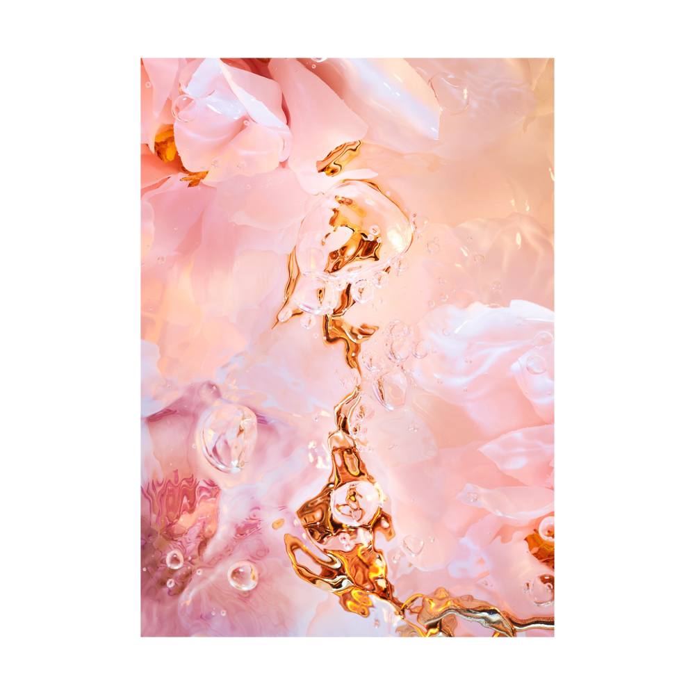 Flora Aquatica 02 poster, 30x40 cm