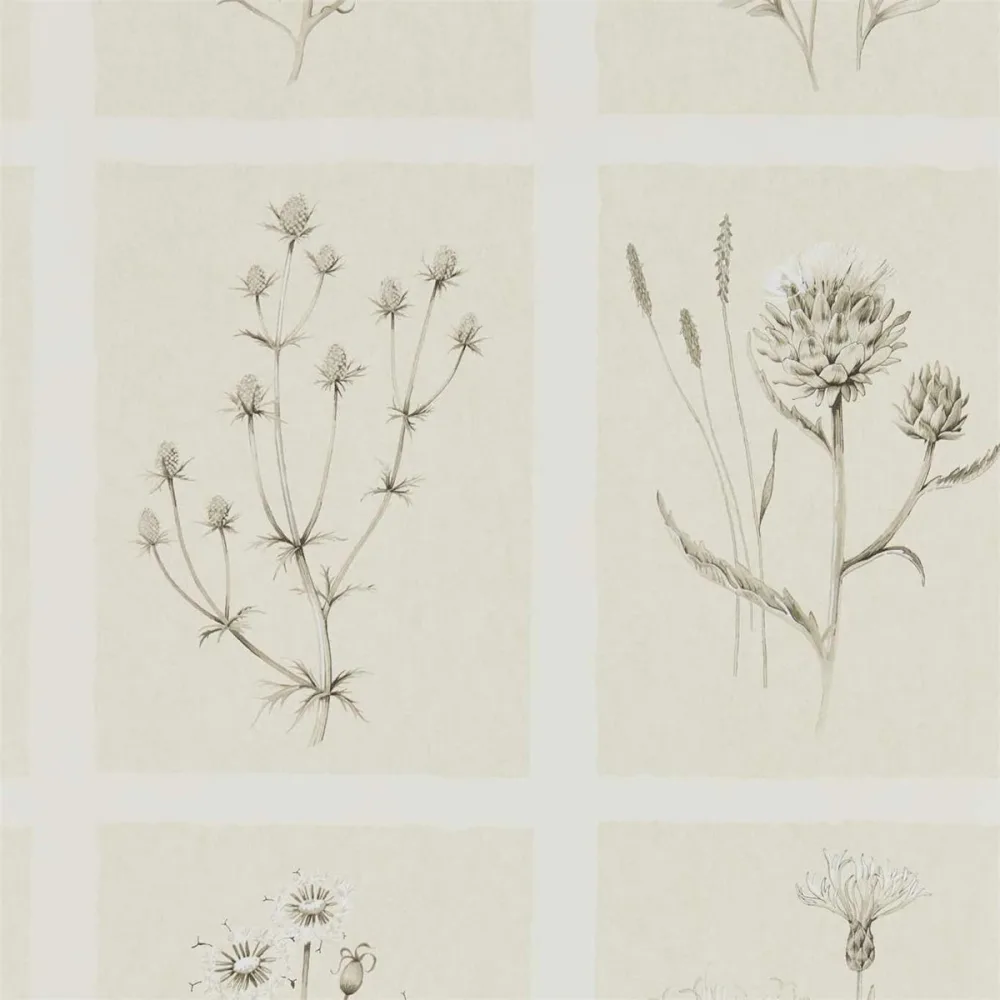 Embleton Bay Little Thistles Debb216511 Tapet | Stuvbutiken
