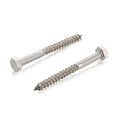 Schäfer & Peters 057146100 Sexkantsträskruv 6 mm, T6S A4, DIN 571 6 x 100 mm, 100-pack