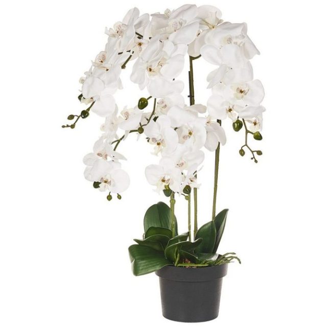 Konstgjord växt Orchid 28x28x63 cm