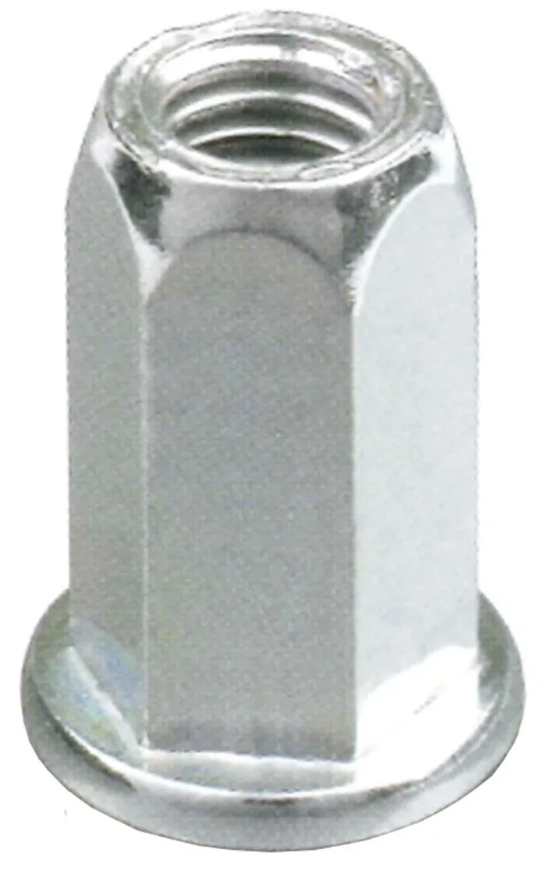 Ejot 460395 Blindnitmutter plant huvud öppen sexkant, 200-pack M10L - Bild 2