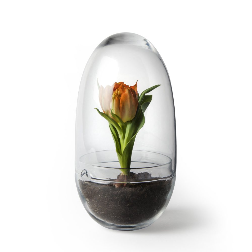 Grow odlingskupa, Medium Ø11 cm